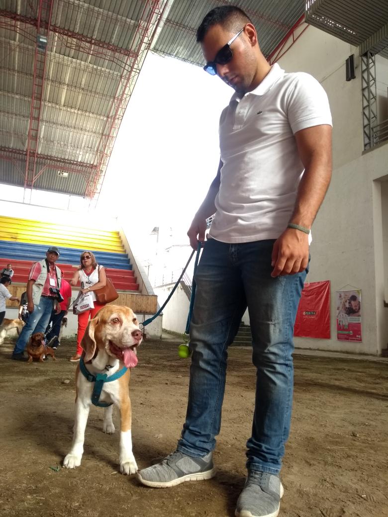 Camara_Armenia's tweet photo. Los amos disfrutan con sus peluditos en la exposición canina de #AgroExplora2018. https://t.co/RbvJyc2ek0