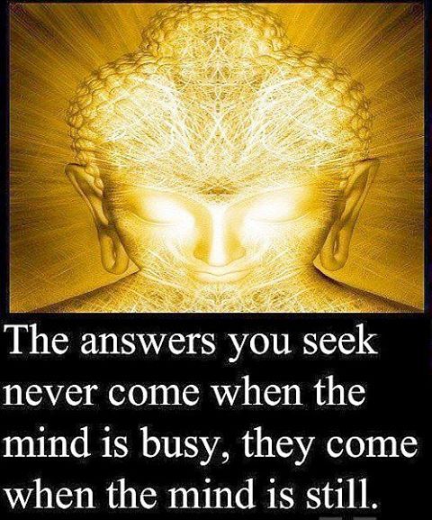 🔺🔺Adrienne 🔺🔺 (@adriennesnow17) on Twitter photo 