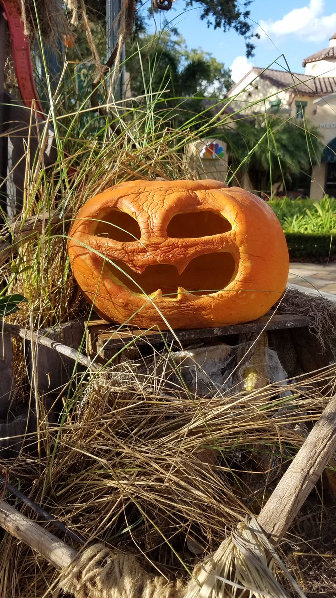 AOVlogs's tweet photo. We are here checking out the zones and filming our HHN hype video https://t.co/SR1F6da3tM