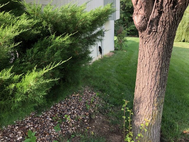 LandscapeStain's tweet photo. Landscaping job we worked on this morning. Tore out the grass, put down edging and weed mat, and finally rock. Turned out great. https://t.co/9SIZRTwXJ8