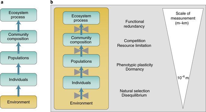 mmw_lmw's tweet photo. Understanding how #Microbiomes influence the systems they inhabit | Microbial_EcoSystem Linkages | Ed Hall @ColoradoStateU @NatureMicrobiol https://t.co/0vHbWstIdp | #AugReCap https://t.co/DT6F2bOoZG