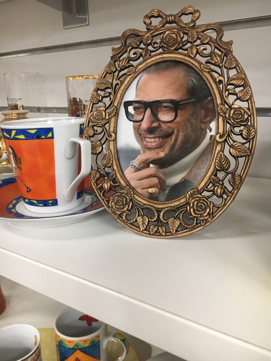 Someone who works at a charity shop put Jeff Goldblum in every single photo frame 😂