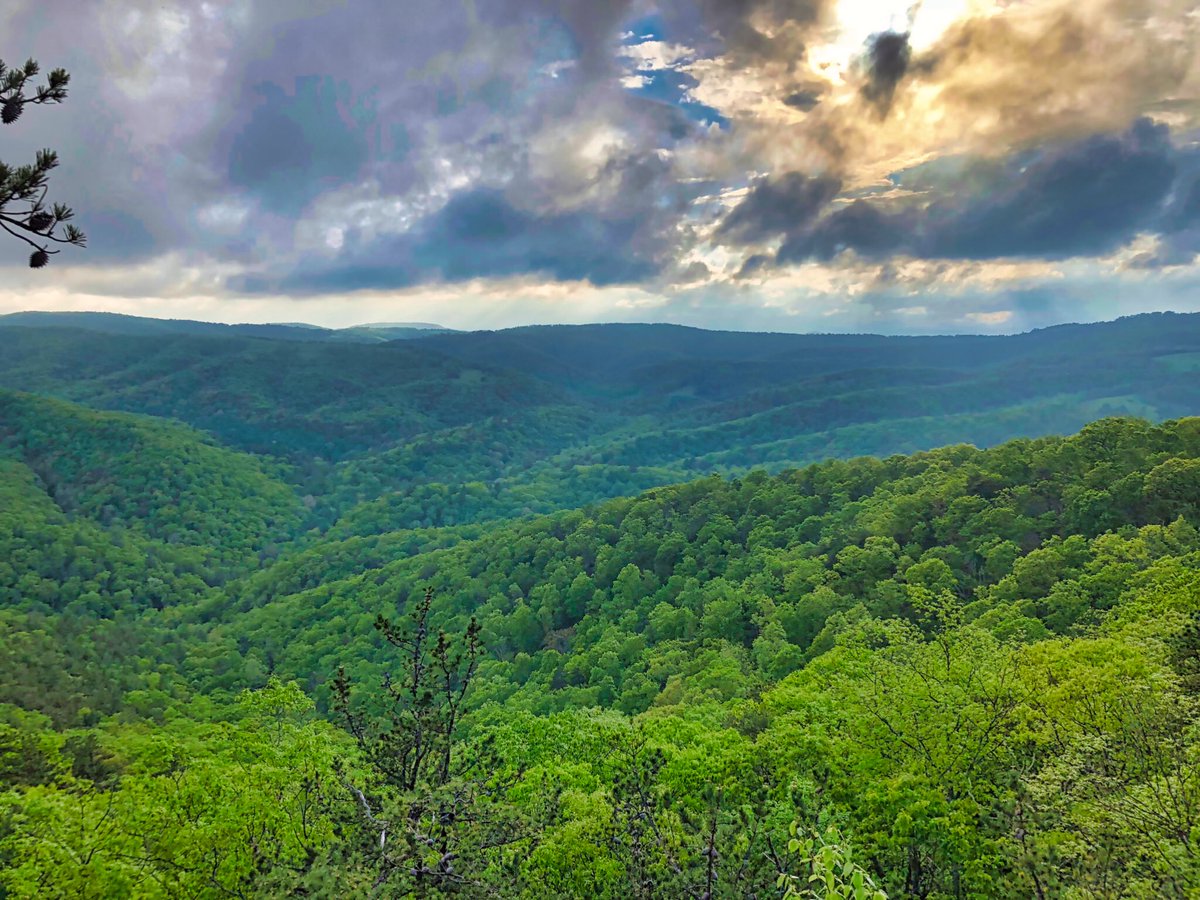 growingupwv's tweet photo. The view from our resting and picnic spot along the #WhiteOakTrail at #LostRiverStatePark. Not to bad.
-
#mathiaswv #almostheaven #GoToWV #mywv #hikewv #hikelostriver #hikelostriverstatepark #hike #hiking https://t.co/GJYNviF51F