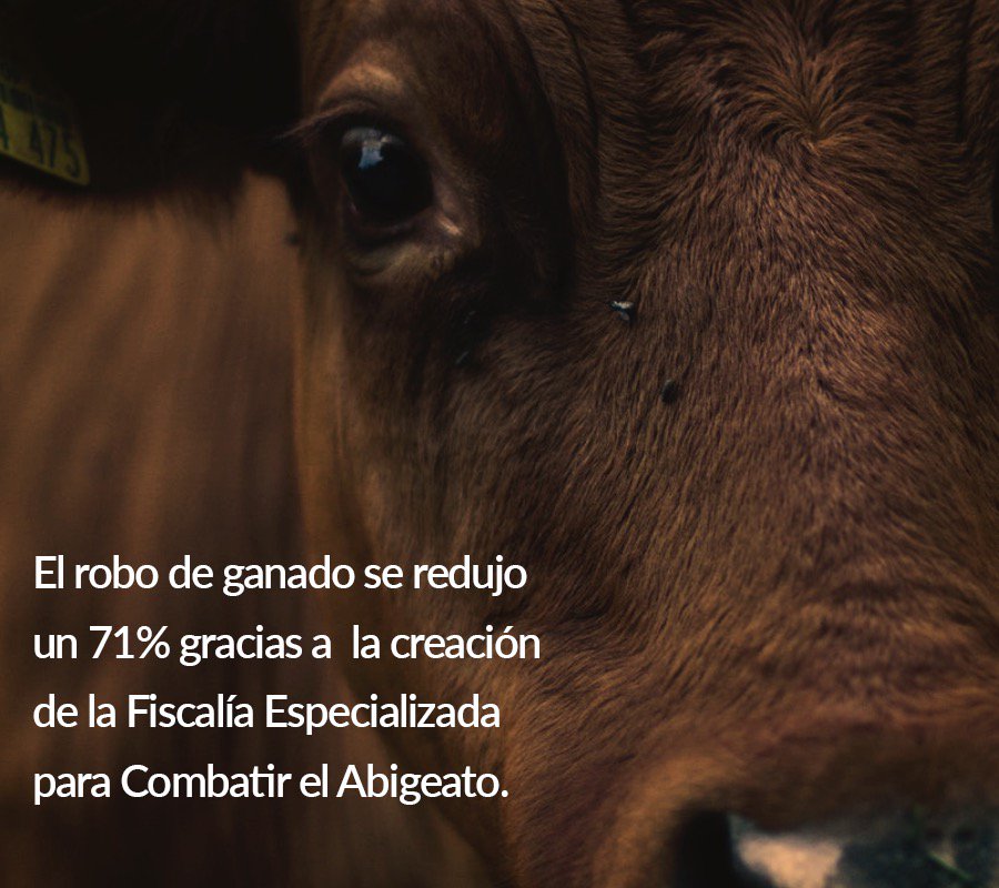 Cisneros Fuente Paola tweet media