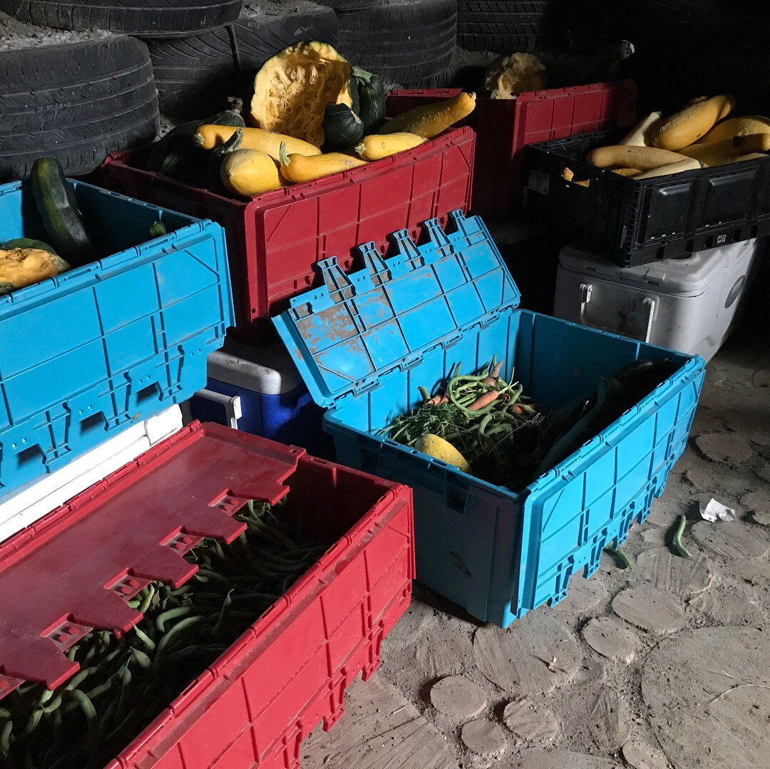 coolanthro's tweet image. Check out @OLCERIproject who are hosting the Indigenous Wisdom and Permaculture Skills Convergence this weekend #indigenouswisdom #Permaculture #decolonizedevelopment #decolonize #localfood #lakota #oglala