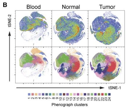 mmw_lmw's tweet photo. #Tumor_Infiltrating_CD8_T_Cells | CD8 T cells with StemCell Qualities revealed by high dimensional #SingleCell analyses: CXCR5+Tim3- expressing PD-1, TIGIT and CD27 | Enrico Lugli @HumanitasMilano @JExpMed https://t.co/ooO6PVHK90 | #AugReCap https://t.co/lYrGdmiUfm