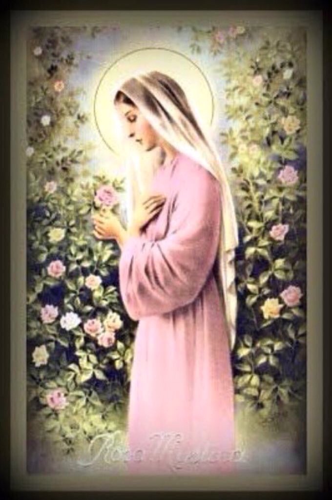 @roseOyuma @sistervpaul_ @ToupsFamily @NaranjoFdez @MrEdTrain @1207go @Matthew82060400 @Lampasvlad @disciple96 @PrayHard972 @Cdn_Catechist Hail Mary, Full of Grace, The LORD is with thee. Blessed art thou among women, and blessed is the fruit of thy womb, JESUS. Holy Mary, Mother of GOD, pray for us sinners now, and at the hour of our death. Amen! 🌷