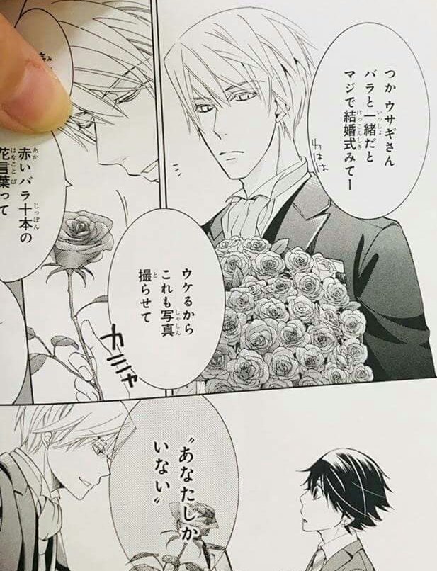 Junjou romantica tomo 25