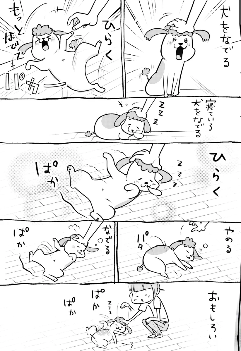 2匹飼うと倍楽しい！イヌとネコが織りなす物語がとってもハートフル‼︎