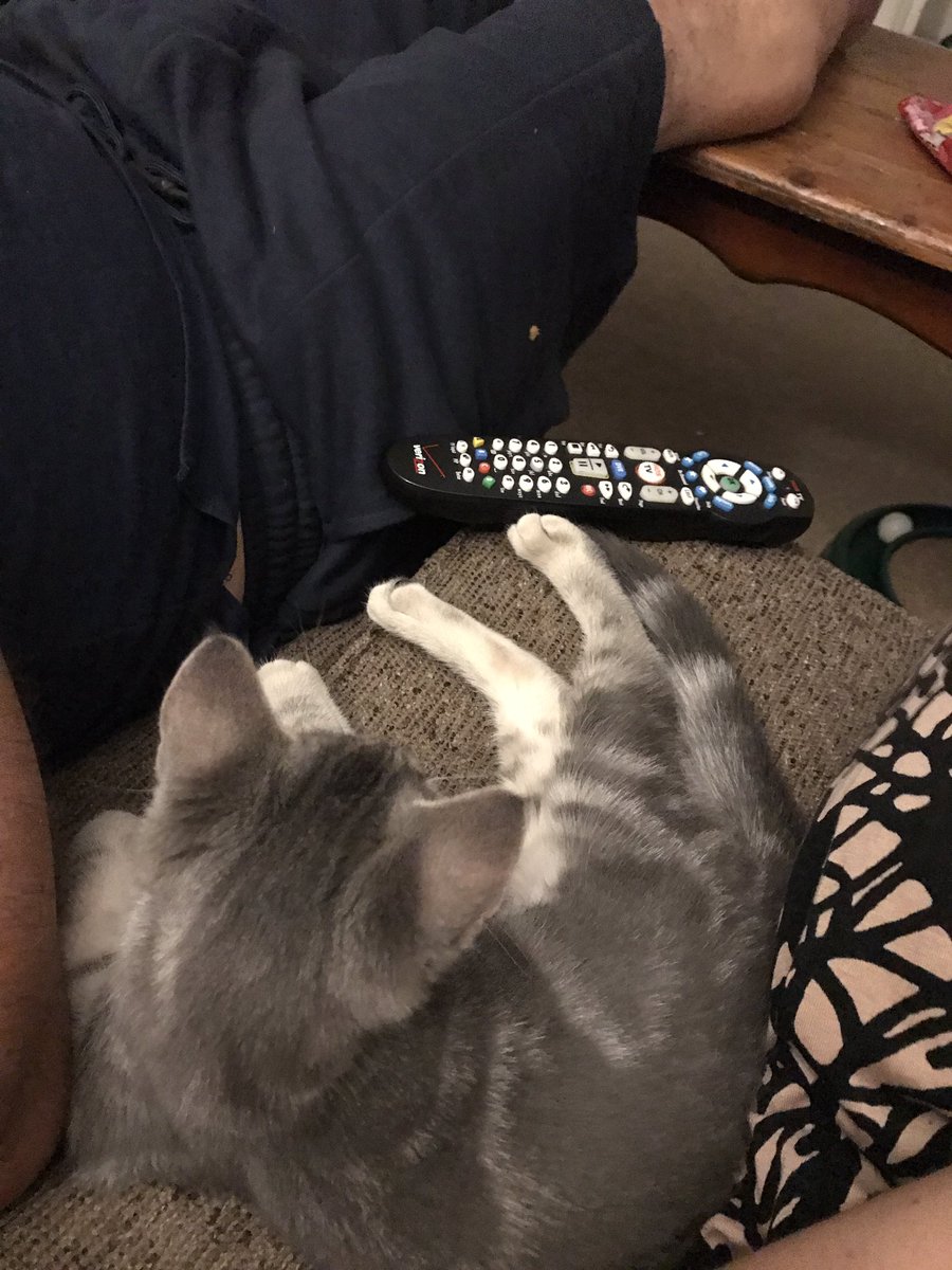 rebecca_decker's tweet image. The fam finally watched the season finale of #SharperObjects WHATTTTT