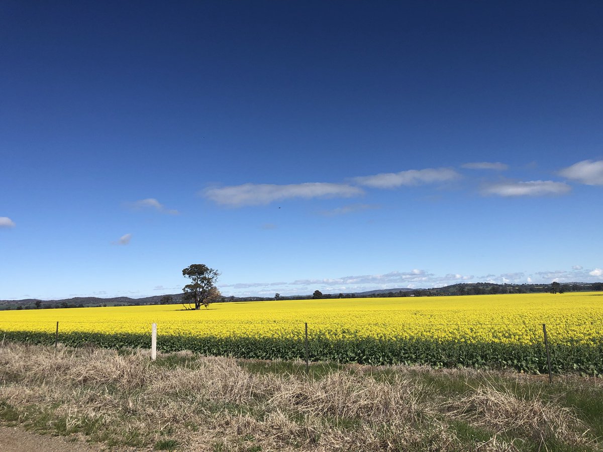 Just like Le Tour #tokv #nrs18