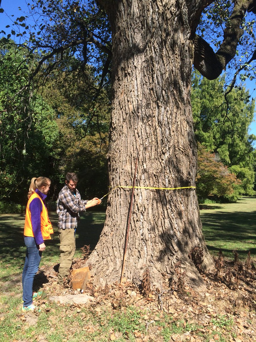 U of I Ext. Forestry tweet media