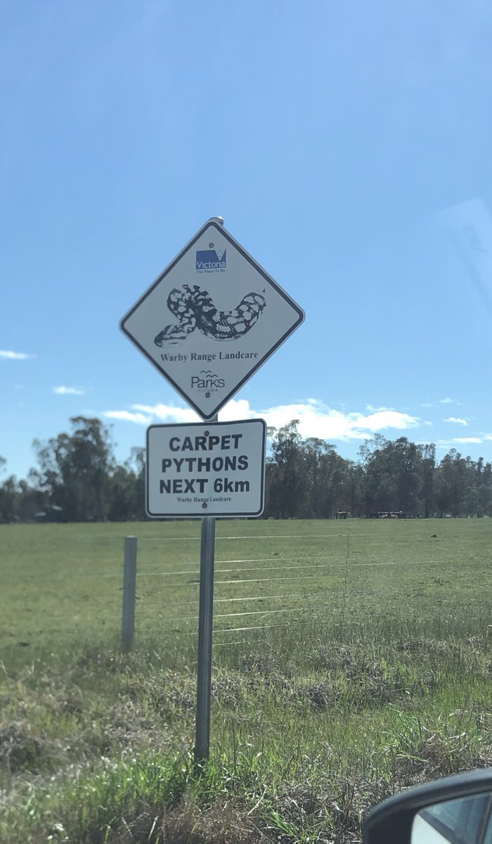 So that’s not something you see everyday! 🐍  #tokv #NRS2018