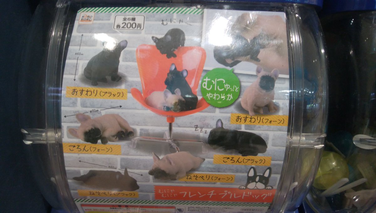 ヴィレッジヴァンガード イオンタウン郡山 ガチャガチャ新入荷 再入荷 動物ものはやっぱり人気 可愛いもんなぁ ガチャガチャ ガチャ ガチャ速
