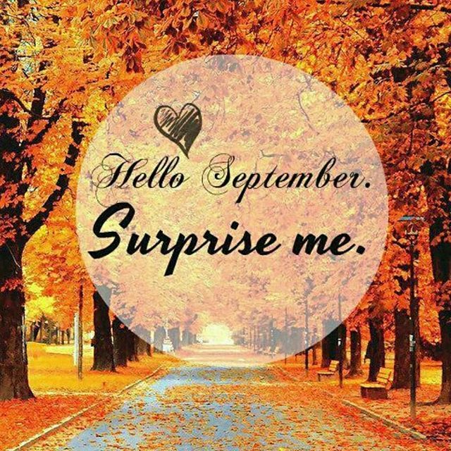 Bonnie_Ga's tweet photo. https://t.co/7u7AL7pFwC https://t.co/vC6ib12al3