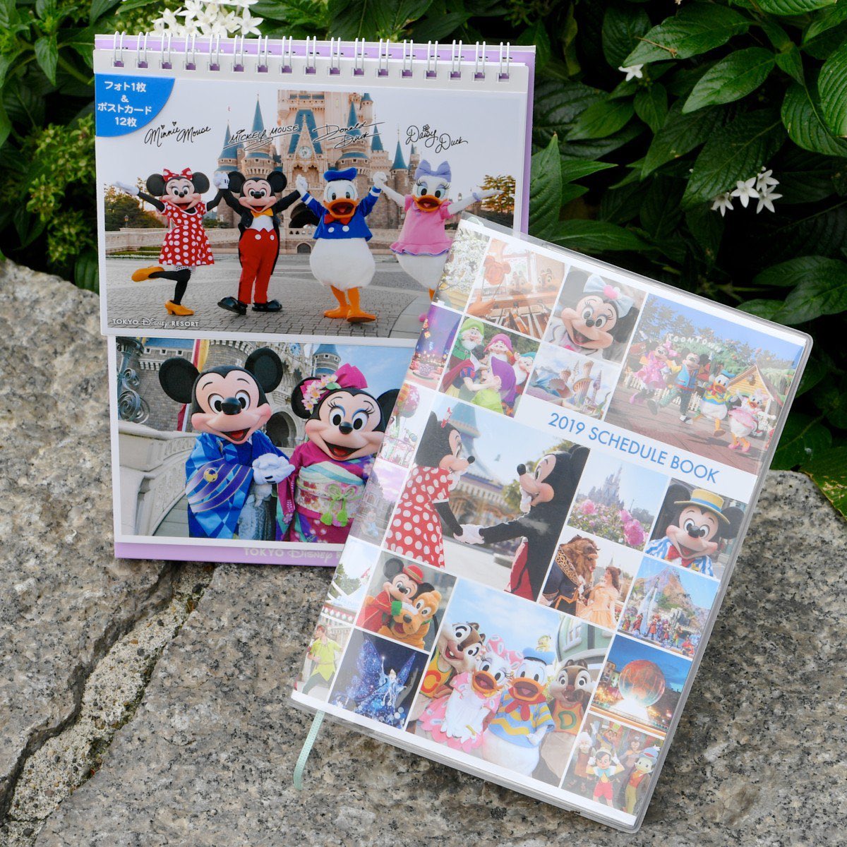 Mezzomikiのディズニーブログ 実写デザインも 東京ディズニーリゾート 19年カレンダー スケジュール帳 手帳 発売中 詳しくは T Co Vti272q34k Mezzomikiのディズニーブログ 実写デザインも 東京ディズニーリゾート 19年カレンダー スケジュール帳 手帳 発売中 詳しくは T Co Vti272q34k
