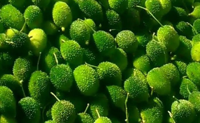 naturebring651 tweet picture