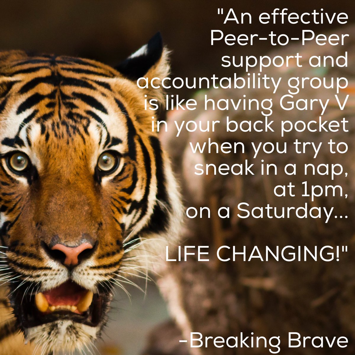 breakingBrave's tweet image. Helping ppl to stop living small &amp;amp; go 4 a dream like @garyvee does is inspiration 4 our new pvt mbrship group #rise&amp;amp;shine, launching on 9/4