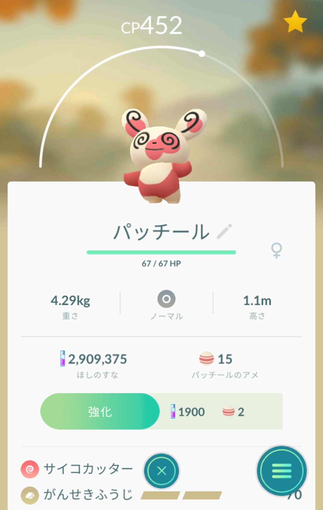 二代目ポケ乃花 おお 柄が変わった ポケモンgo パッチール T Co 7azmwcgyb7 Twitter