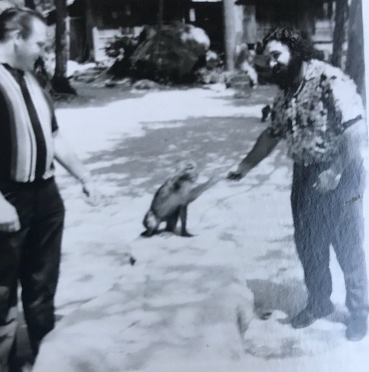 PFirpo1's tweet photo. @GreatBrianLast @TheJimCornette these pics are also from the 1969 Japan trip. I recognize Crybaby George Cannon but not sure who the wrestler with the stripes down the dark brown shirt is... Nevertheless, he and my dad appear to be handing a coin to a #trainedmonkey 👍🏻😝 https://t.co/LdZP0ME2ig