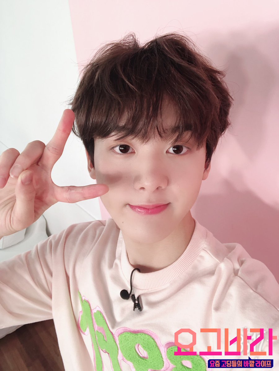 SBS MTV 요고바라 tweet media