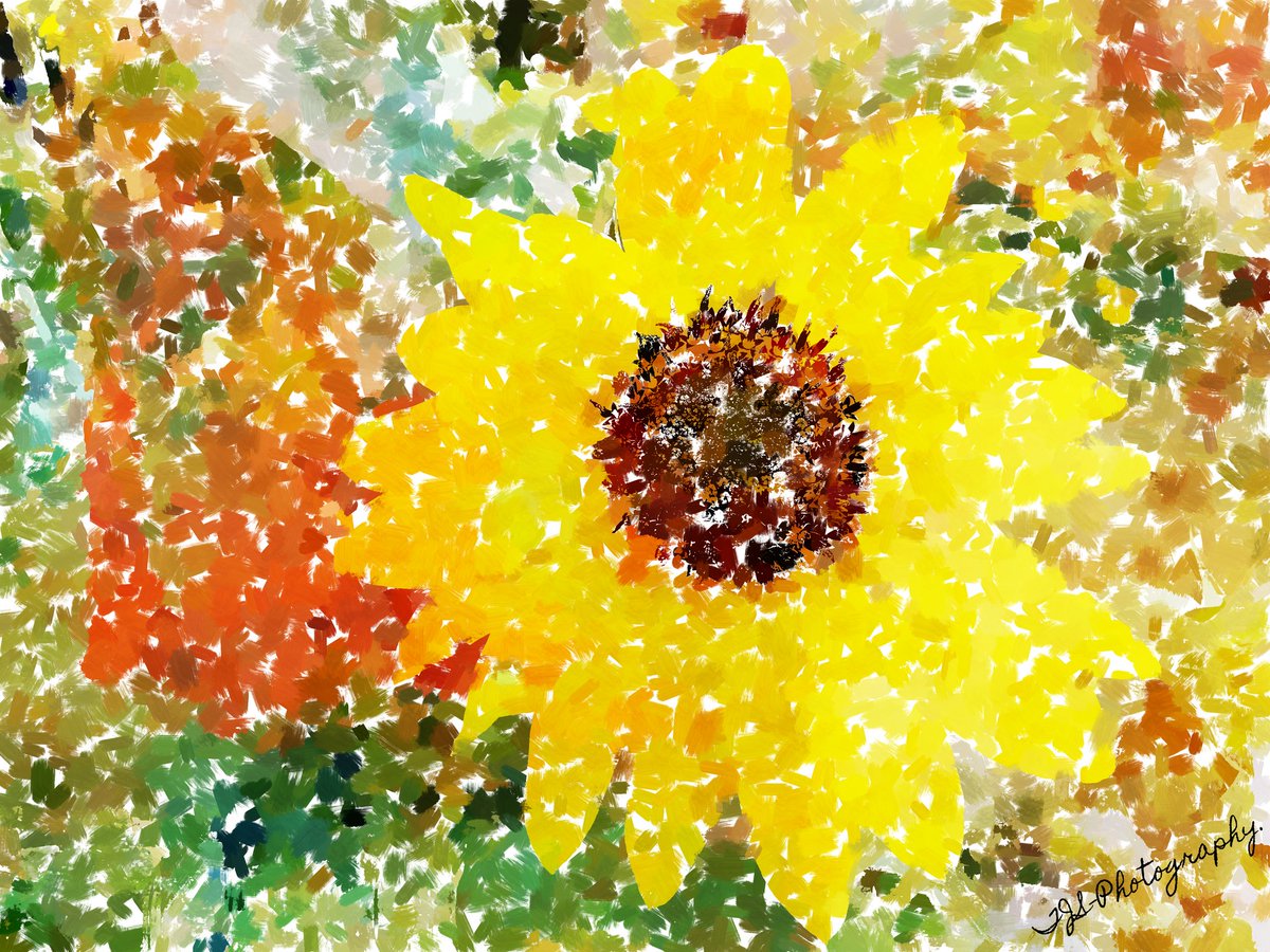 Love #sunflowers..
#Outdoor excursion & some #painting.

Photo property of,#TJSPhotography

#summer #craft #abstract #garden #hike #nature #wellbeing #fish #cottage #lifestyle #seasons #decor #brush #rusticliving #sportive #officiant #tones #design #excursion #weekend #shabbychic