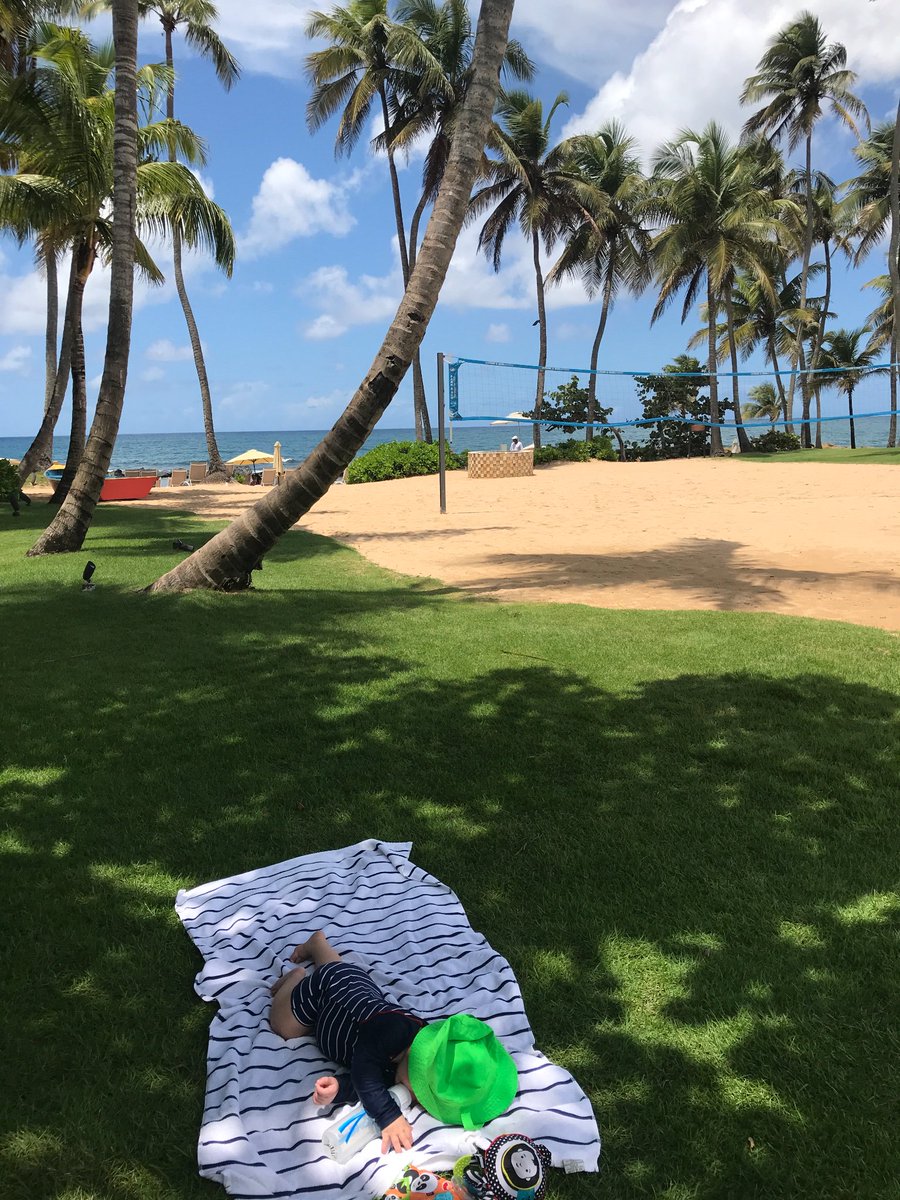 thebezzkness's tweet photo. Puerto Rico to Florida- living la vida loca! #jetsetter #travelingbaby #6months #6thflight https://t.co/9h52y4S8bd
