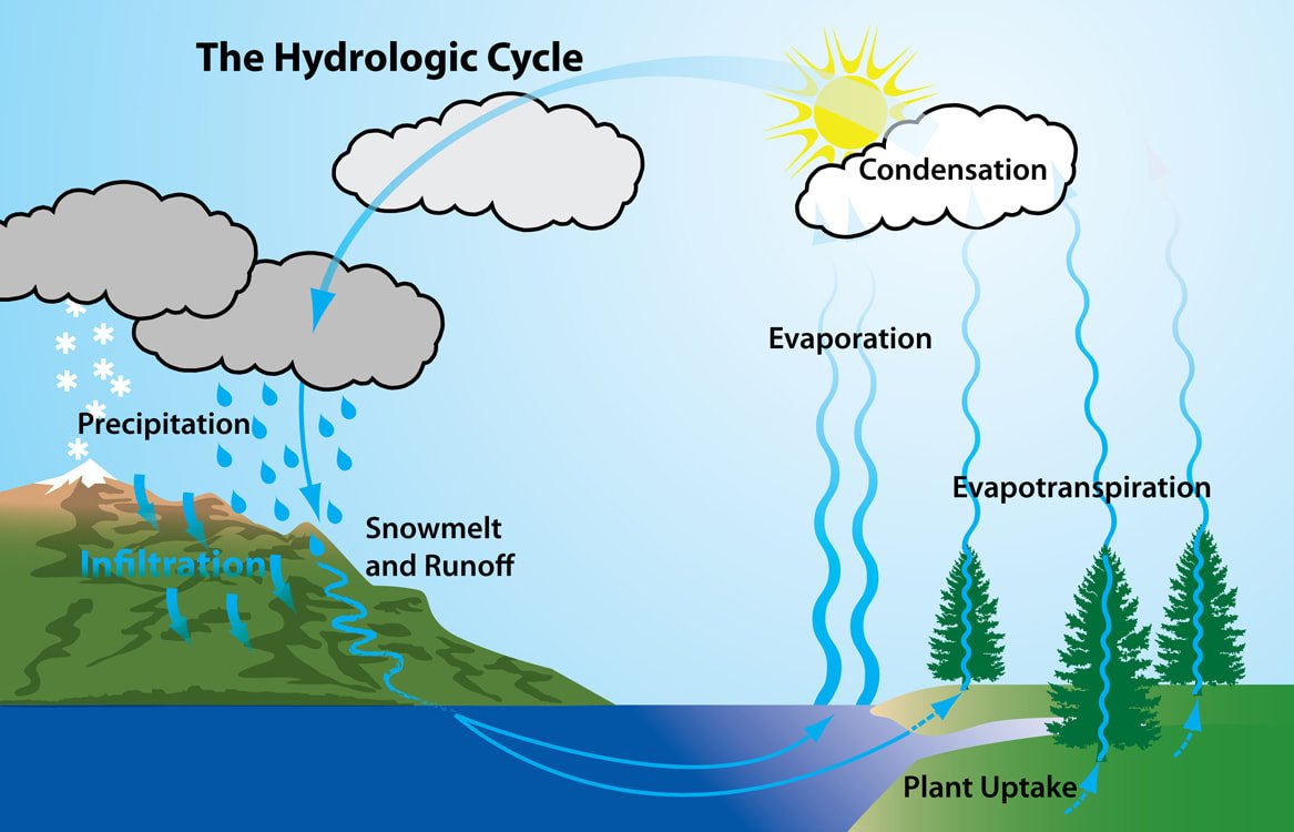 RobynCharlton1's tweet photo. Want more rain? plant more #trees & retain #naturalsurfaces #watercycle #environmentaleconomics #notrocketscience #EcoToursism https://t.co/EVXewUW7TV