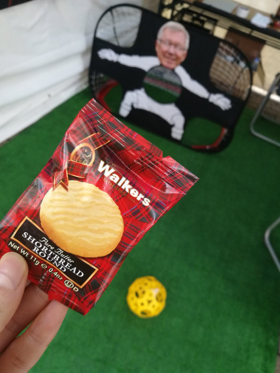 British_Weekend's tweet photo. #サッカーキング さんのブースでは商品をご購入いただいた方にゲームをしていただいてゴールした方は更にプレゼントが貰えるという楽しい企画も行われています✨
ぜひお立ち寄りください😊 https://t.co/oijwz3m16P