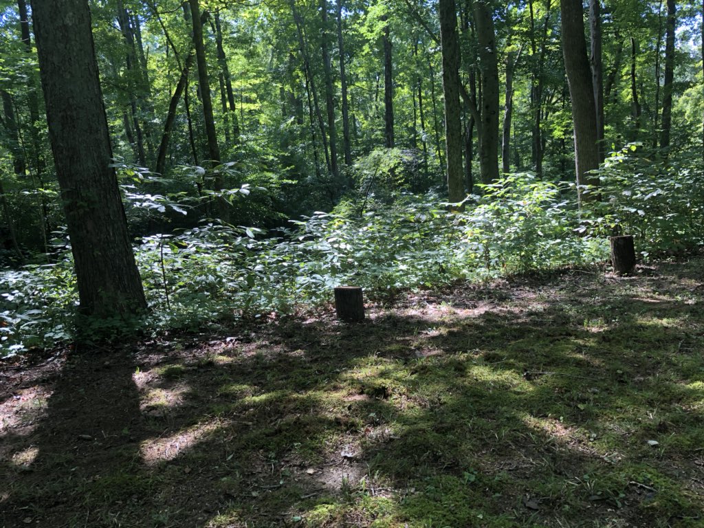 BristowJJ's tweet photo. Every little things gonna be alright. #onelove #dontworry #boutathing #calm #sobriety #nature https://t.co/vXkPKlWIwM