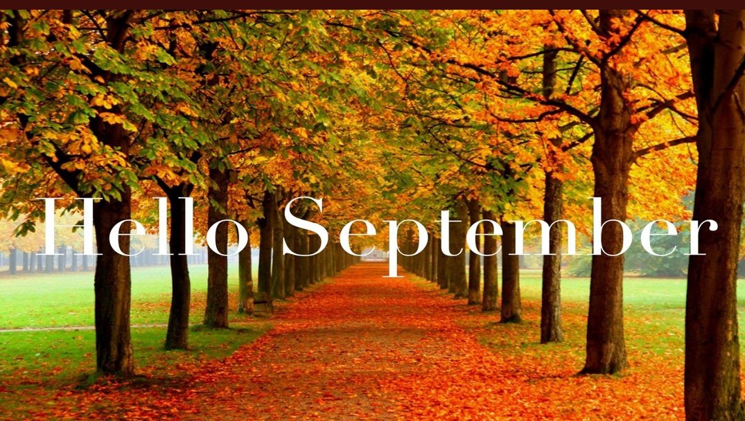 hauntedsunshine's tweet photo. I'm ready. #fallyaall https://t.co/mUc0DpF4ta
