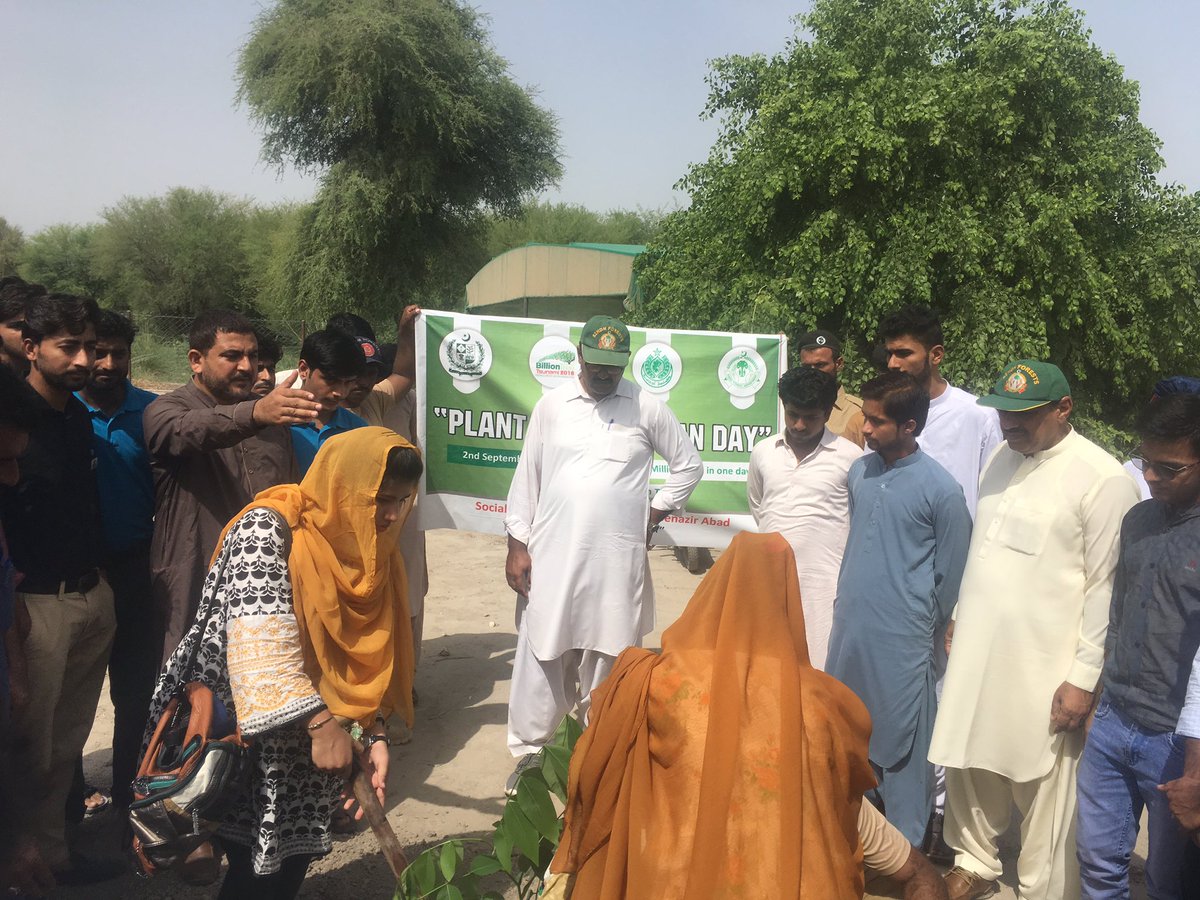 NaimatullahCha6's tweet photo. Plantation for Pakistan at PAI forest shaheed benazirabad https://t.co/uffRodYZEh