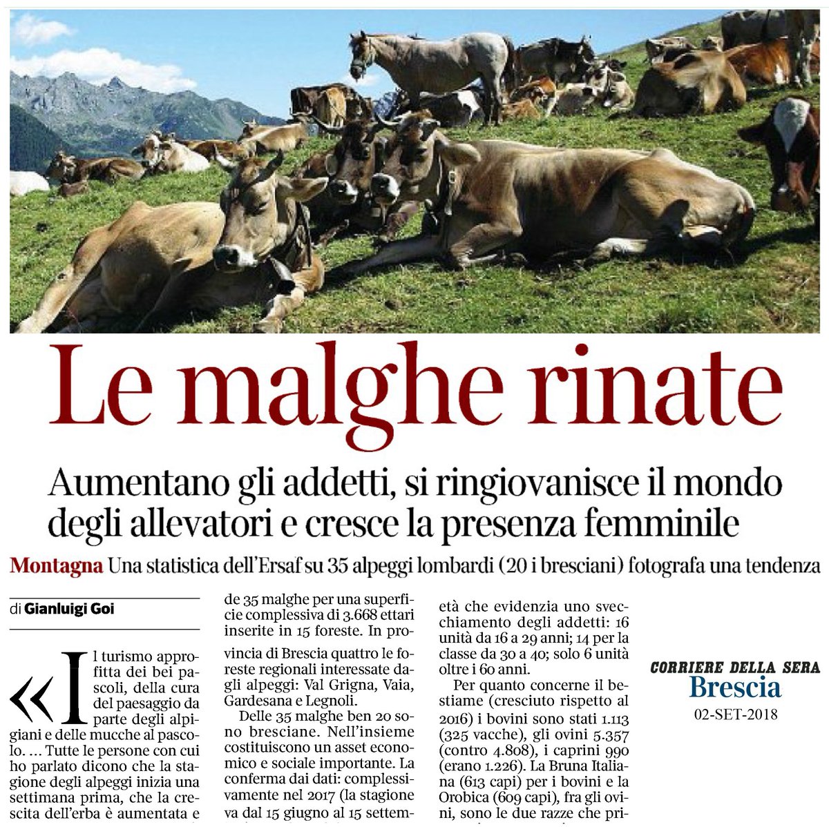 FontanaPres's tweet photo. Gli #alpeggi lombardi sono #rinati: aumentano gli addetti, si ringiovanisce il mondo degli #allevatori e cresce la presenza femminile. Positivi i dati di #ERSAF, che ha ufficializzato il #riconoscimento di "Prodotto di montagna".
#RegioneLombardia #Lombardia #LombardiaAlLavoro https://t.co/V3q4GMoGOV