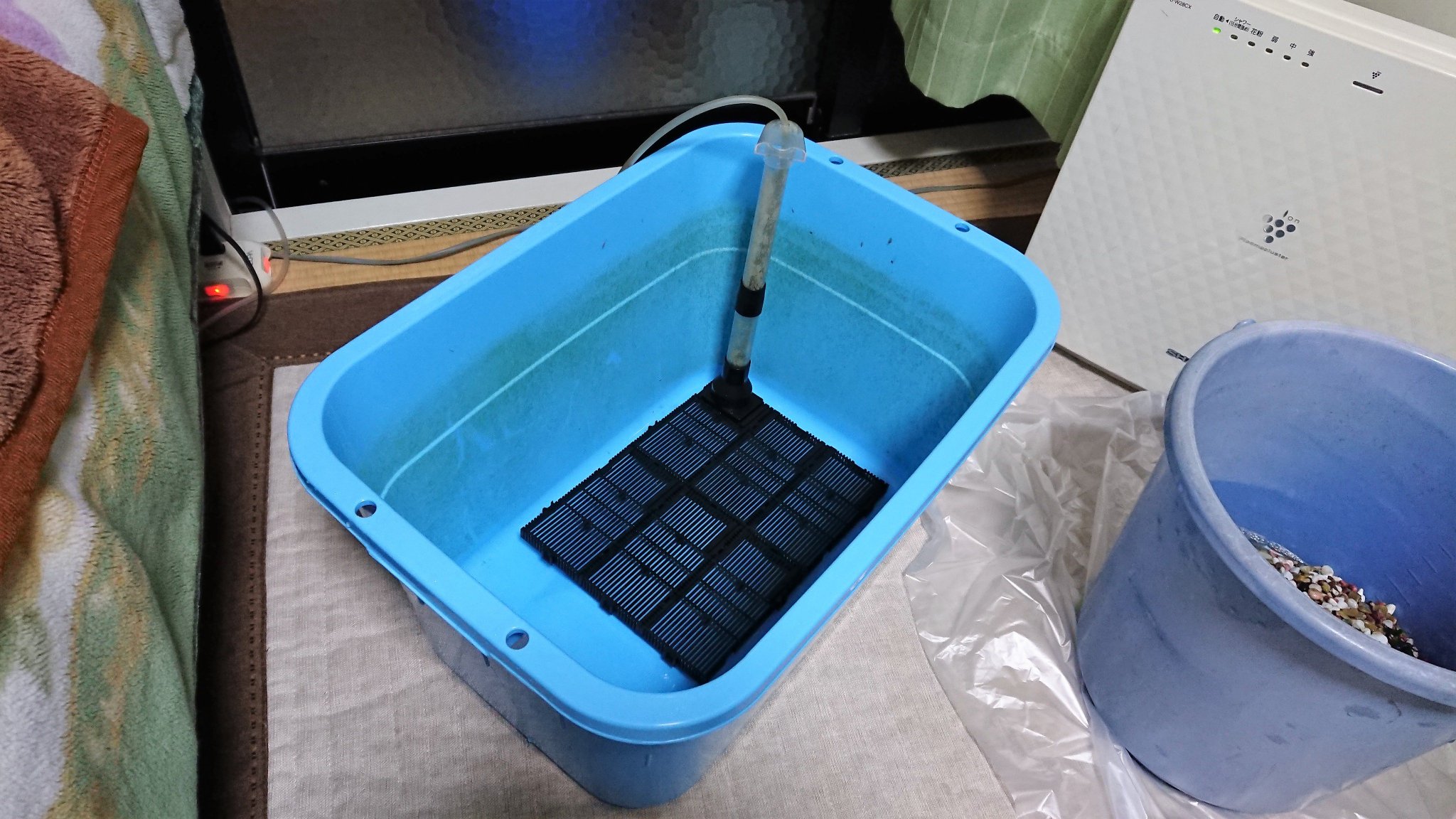 アクアマン 青メダカ飼育のビオトープに 底面フィルターをセットしました メダカ ビオトープ アクアマン 青メダカ飼育のビオトープに 底面フィルターをセットしました メダカ ビオトープ