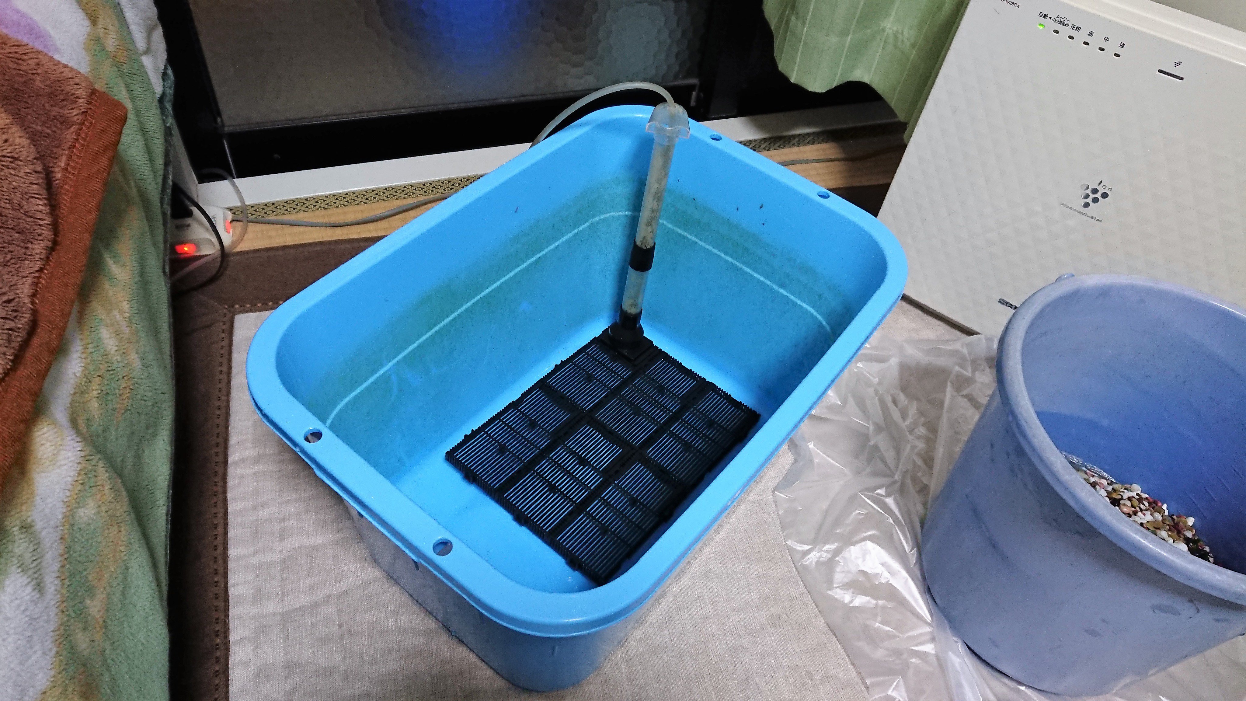 アクアマン 22 青メダカ飼育のビオトープに 底面フィルターをセットしました メダカ ビオトープ T Co Uoakbgdl9i Twitter