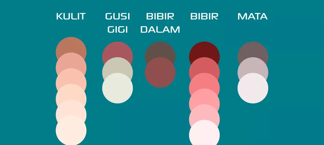 나는 유태인이다 on Twitter: "Yang pro aku saranin pakai adobe ilustrator draw