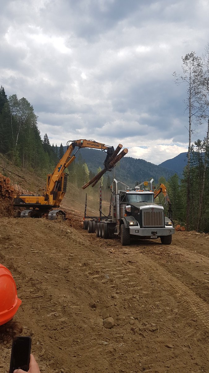 ubcMSFM's tweet photo. Heading back to Vancouver, after a 1-week immersed in the forests of Nelson. Students were exposed to a variety of subjects such as ecosystem classification, harvesting and milling procedures, and the community forest model among others. Special thanks to all the guest speakers! https://t.co/nXevvMKnlA