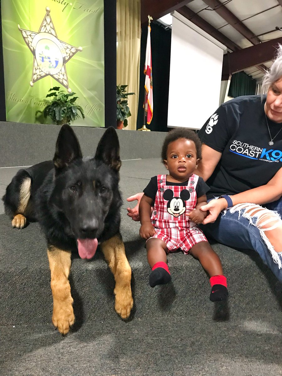 Baby Kingston and Drago hanging out a little before training started today