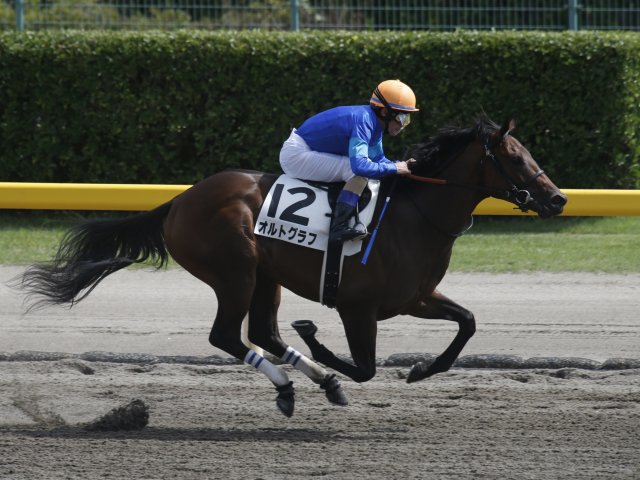 2日、新潟競馬場6Rで行われた新馬戦(2歳・ダ1200m・15頭)は、好位でレースを進めたM.デムーロ騎手騎乗の1番人気オルトグラフ(牝2、美浦・池上昌和厩舎)が、直線で外の5番人気ハンサムリー(牡2、美浦・金成貴史厩舎)と競り合い、これを1.1/4馬身差振り切って優勝した。勝ちタイムは1分13秒5(重)。