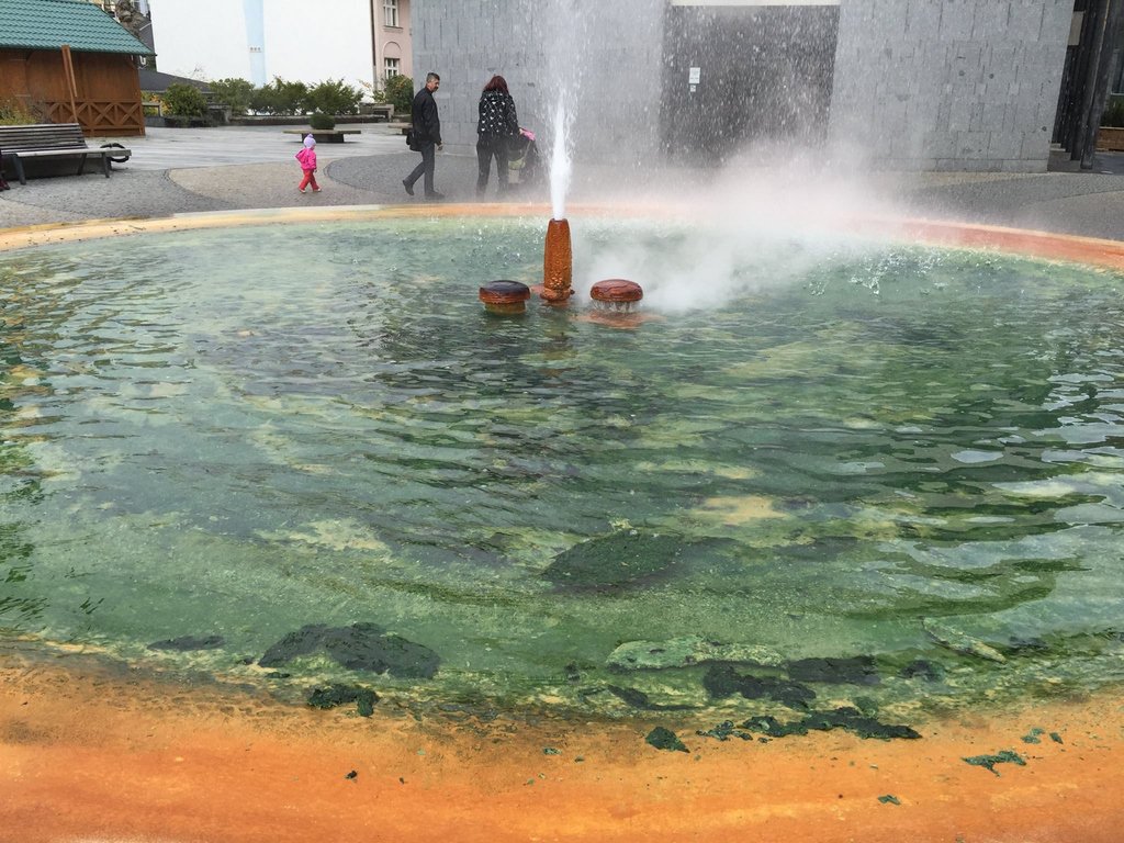 Blue green extremophile algae in the public hot water fountain, which spews forth water at over 60 degrees.

#ExtremeWellness #ExtremeBathing #ExtremeWorkshops #AdventureBathing #BathingInNature #GlobalWellness #BathTheWorld