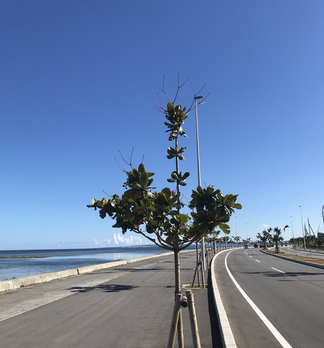 こじか74 Sur Twitter 今年3月に開通した浦添西海岸道路を今日ようやく初めて通りました 笑 来年はパルコも来るのか 沖縄はデパートの大激戦区ですね 西海岸道路 浦添北道路 海 道 空 青空 浦添市 浦添 パルコ Parco サンエーパルコ サンエー 沖縄 こじか74 Sur Twitter 今年3月に開通した浦添西海岸道路を今日ようやく初めて通りました 笑 来年はパルコも来るのか 沖縄はデパートの大激戦区ですね 西海岸道路 浦添北道路 海 道 空 青空 浦添市 浦添 パルコ Parco サンエーパルコ サンエー 沖縄
