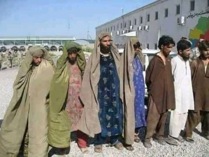anumvirk7's tweet photo. جو لوگ گلہ کرتے ہيں کہ چيک پوسٹ پر خواتيں کی چيکنگ کيوں ہوتی ہے؟يہ ہيں وہ خواتين جن کيلِۓ Ptm اور افغانستان اور ديگر پاکستان مخالف ايلمنٹس  پاک فوج کو بدنام کرنے کی کوشش کرتے ہيں
پاک آرمی زندہ باد 
پاکستان پاٸندہ باد 

@Aliwazirna41 @GulBukhari @marvisirmed 
😂😂😡👇👌 https://t.co/ULdKWpUoFm