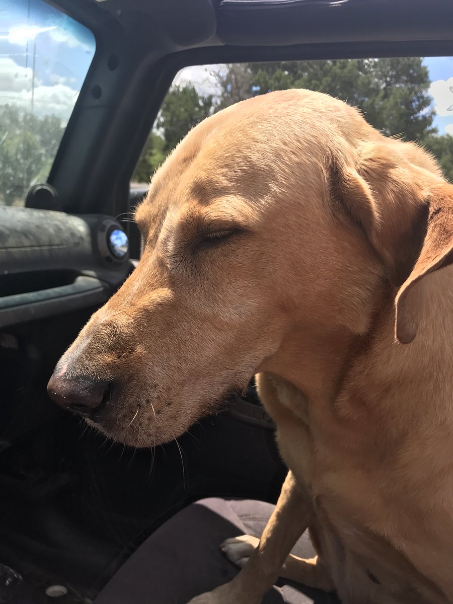 Brandon Beaty (@brandonsbeaty) on Twitter photo 