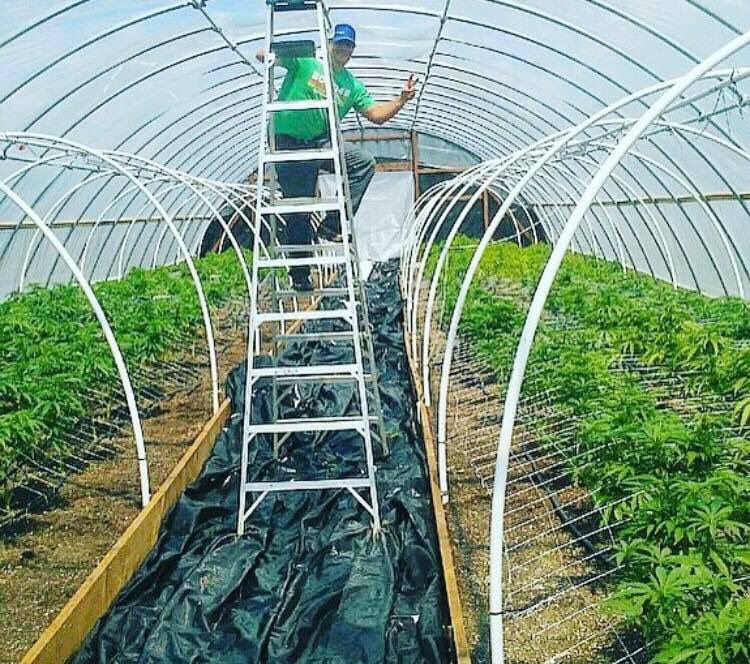 Brandon Beaty (@brandonsbeaty) on Twitter photo 