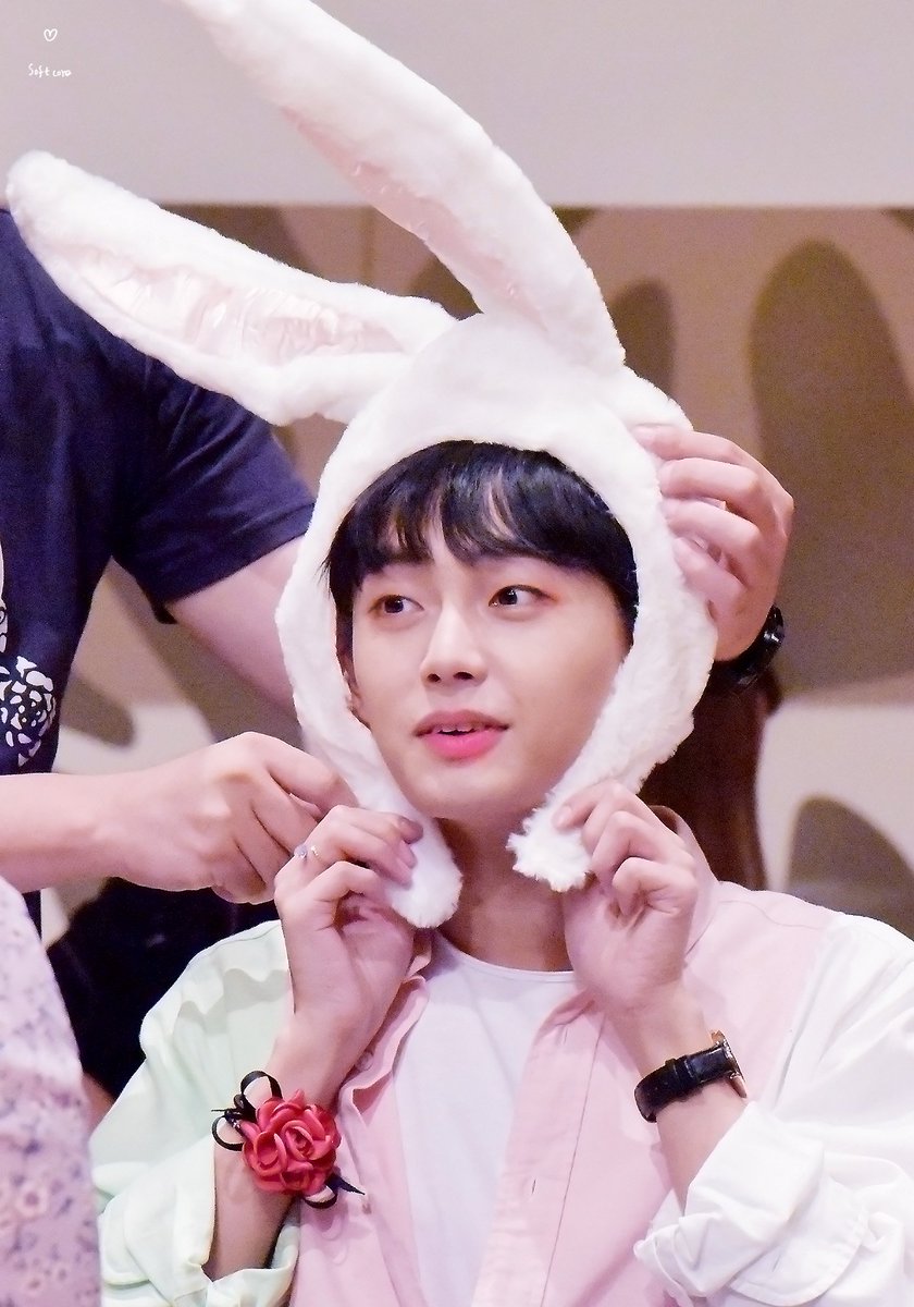 softcore9698's tweet photo. 180901 심석홀 팬싸. 애긔토깽꾹 #김용국 https://t.co/ET2ysfLE4B