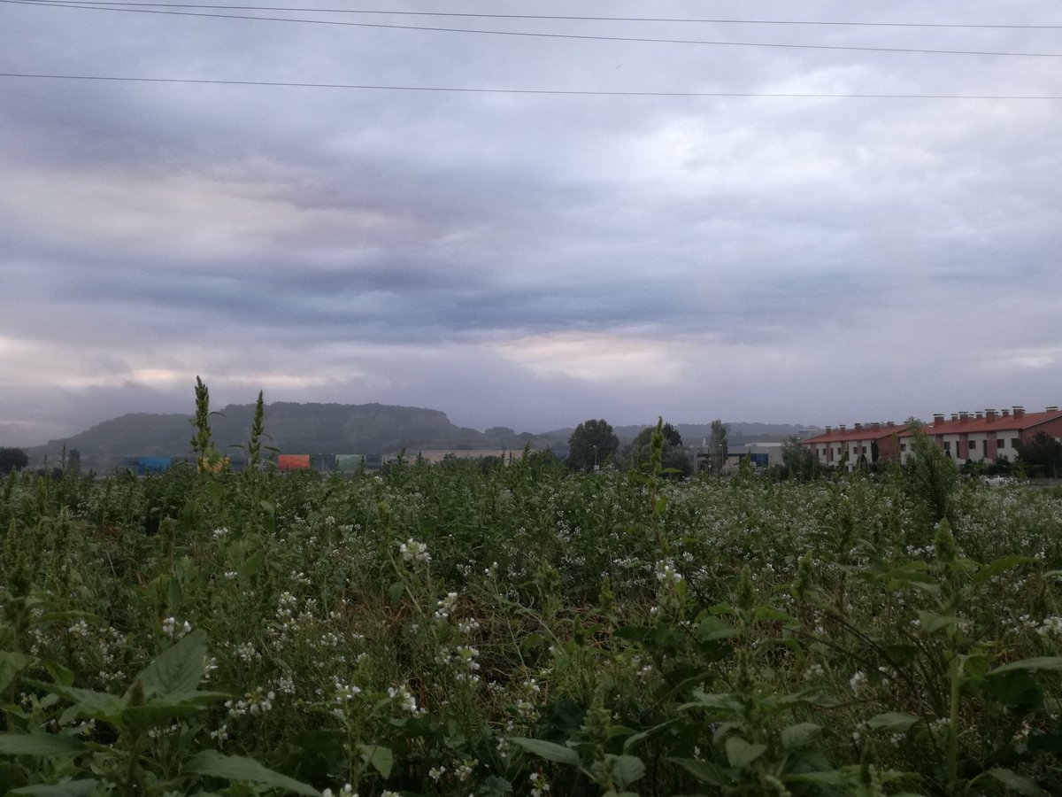 paquisoldado's tweet photo. #Boondia seguim amb #matins #humits #ennuvolats i #emboirats #Osona @MeteoMoia #324eltemps @danidanius @nestor_meteo @enricagud @meteocat @SoniaPapell @esolerdelcoll @AlfredRPico @alcantara_alb @Arameteo @Cat_Meteo @SoldadoTonyi @javioru @rosa_tanti https://t.co/xunR0XTaGl
