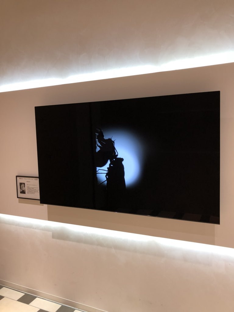 mercury_gray's tweet photo. SONYストア大阪、愛場大介さんの写真展【森の宝石】へ行ってきた。昨日のトークショーに行きたかったんだけど、素晴らしい映像がみれたので満足😊
#jetdaisuke #ジェットダイスケ https://t.co/sKUVg4EtBa