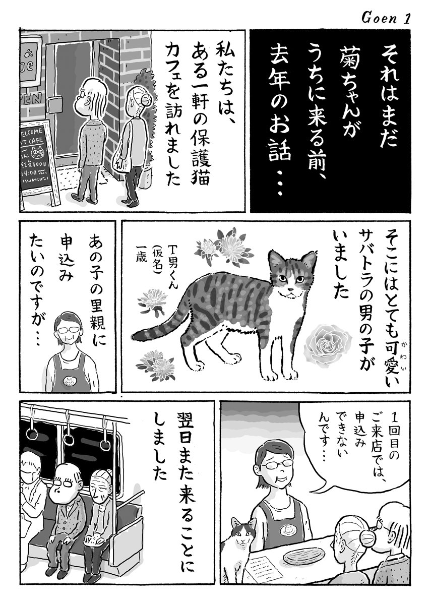 2ページ猫漫画「縁は異なものでございます」 