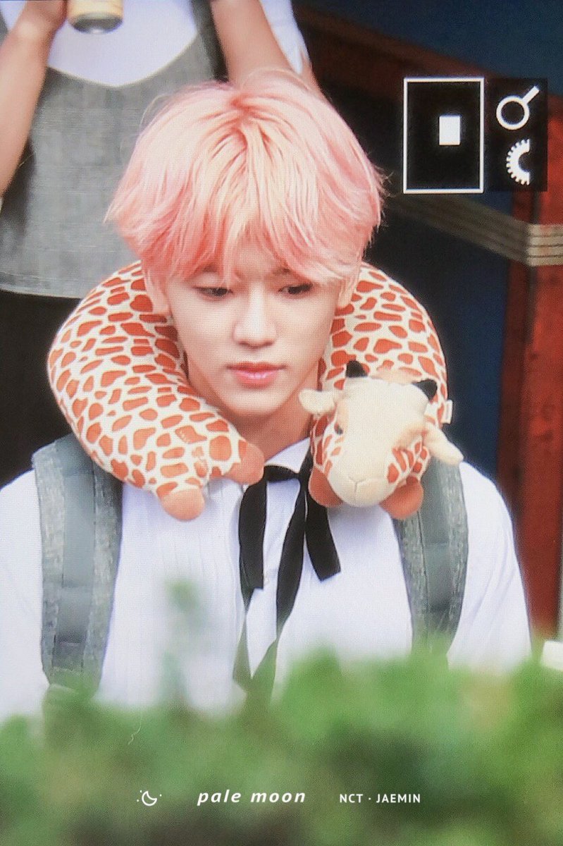 Jaemin Pics On Twitter His Giraffe Neck Pillow Im Crying Hes
