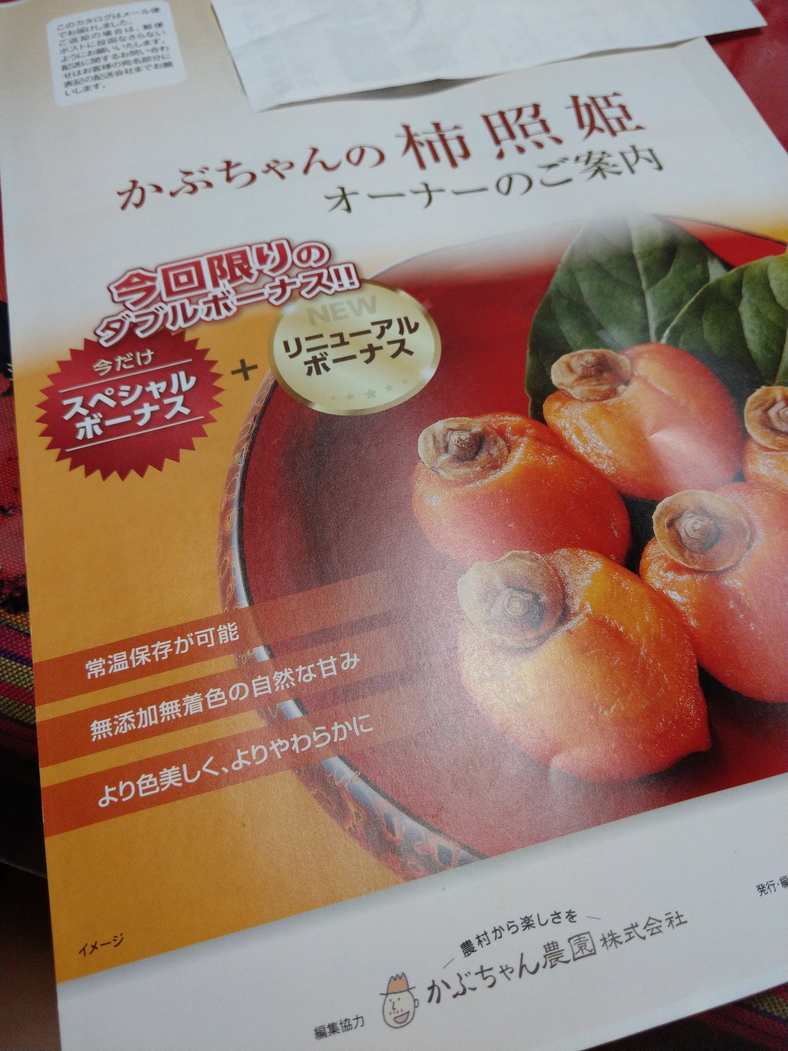 ケフィア事業振興会 Twitter Search Twitter